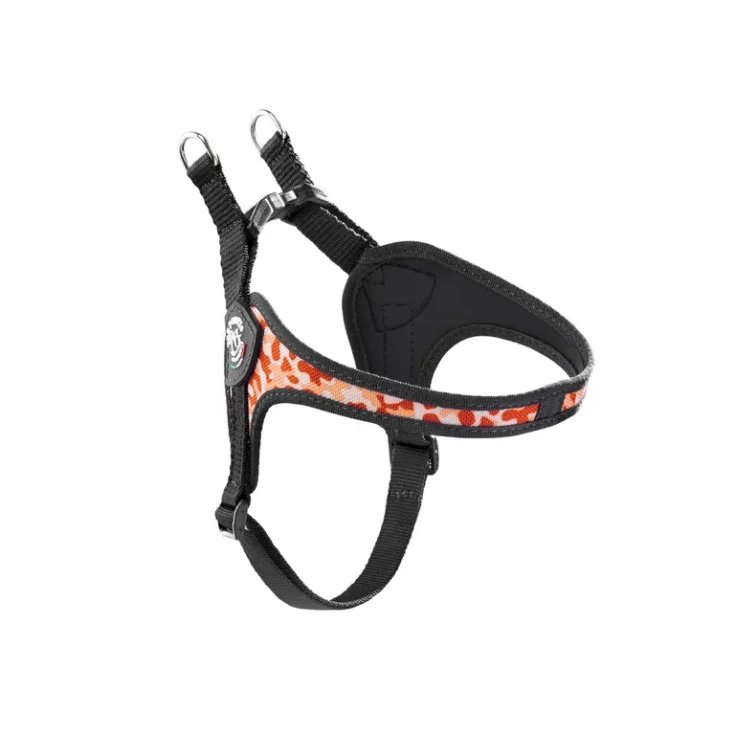 TP EF RE S/P REG ARA CA 4