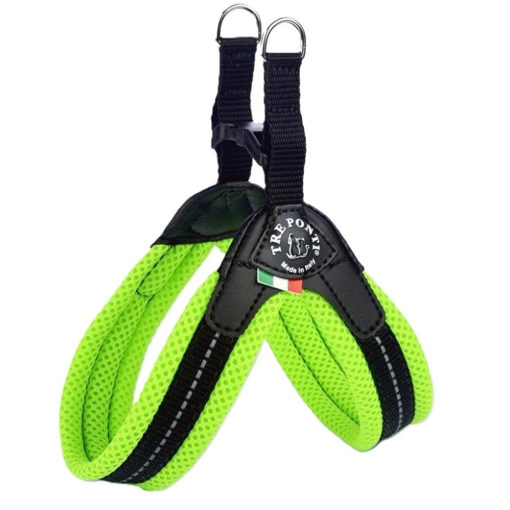 TP EF RE CLK VE FLUO 4