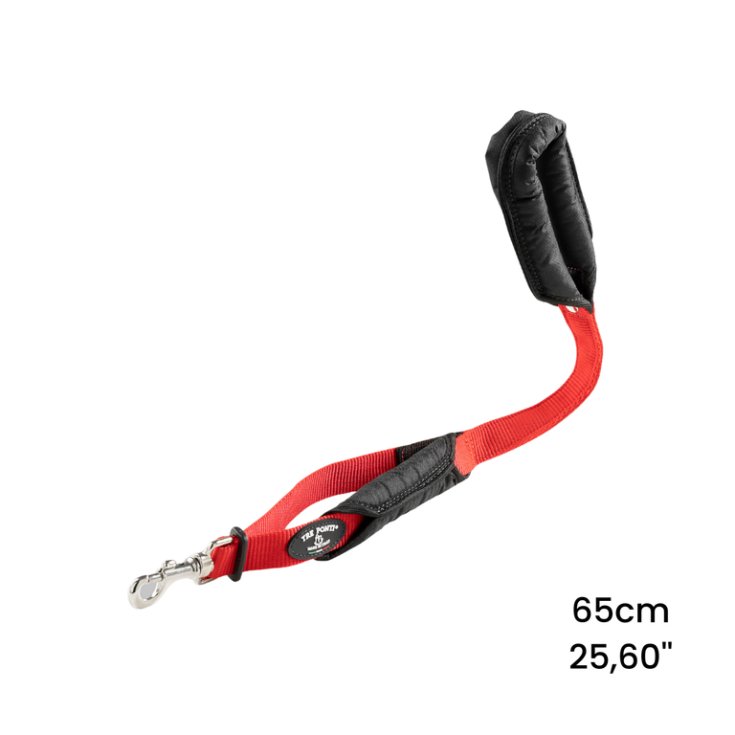 TP GUINZ DPP MAN RO 65CM