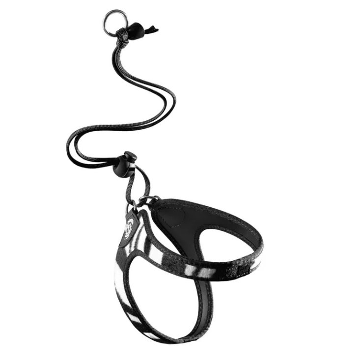 TP EF SAV ONYX CLK ZEB 2