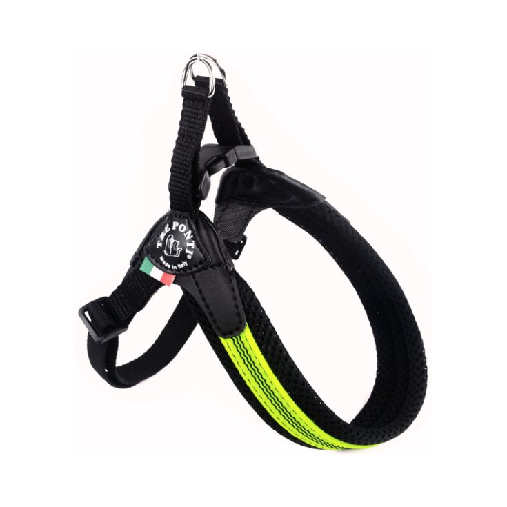 TP EF RE CLK GI FLUO 4