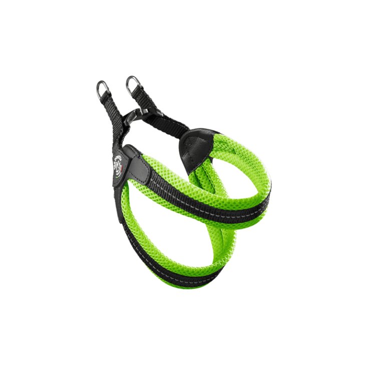 TP EF RE CLK VE FLUO 1