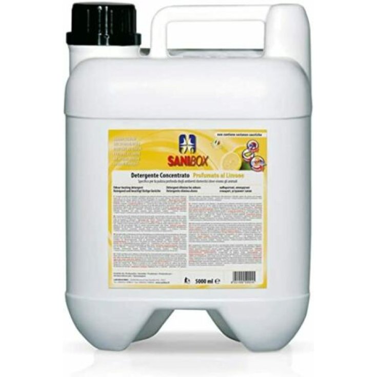 SANIBOX LIMONE DETERGENTE 5L