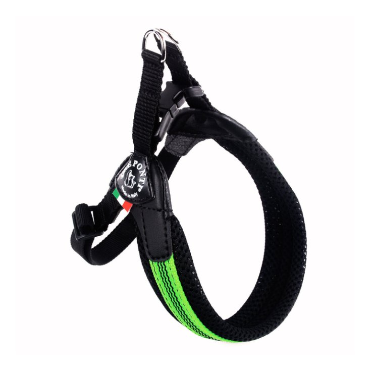 TP EF RE S/P REG VE FLUO 2