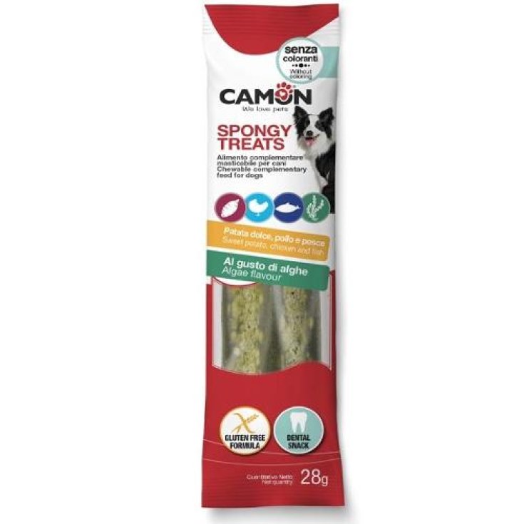 DISPLAY DENT SPONGY TREATS STK