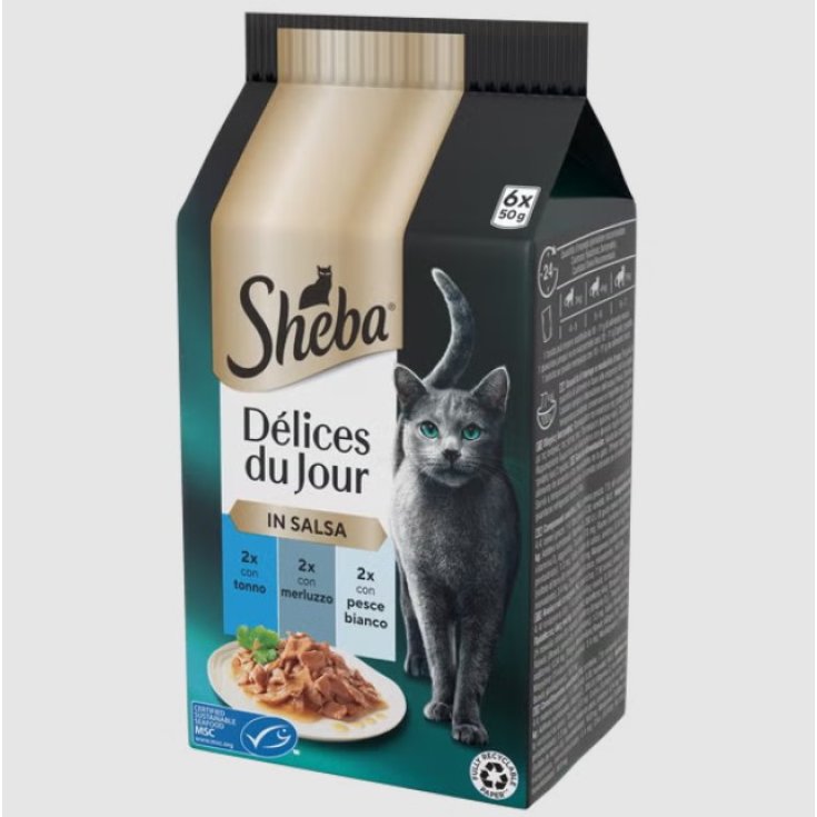 SHE DDJ TON MERL SALSA 50G 6PZ