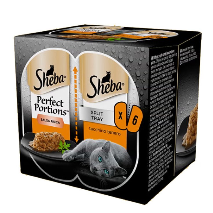 SHE PP SALSA TACCH 37,5G 3X2