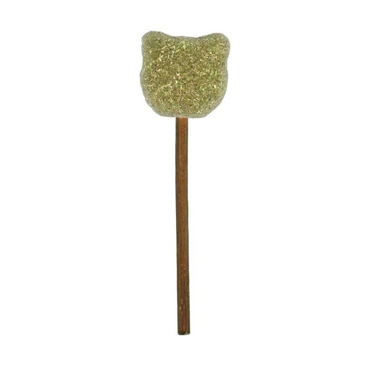 RECORD LOLLIPOP GATTINO IN MATATABI E CA