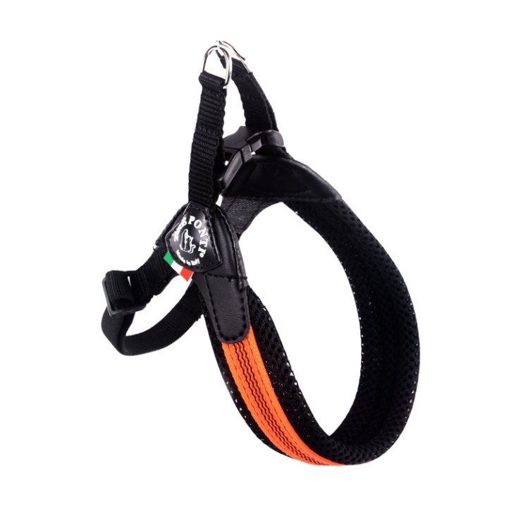 TP EF RE S/P REG ARA FLUO 4