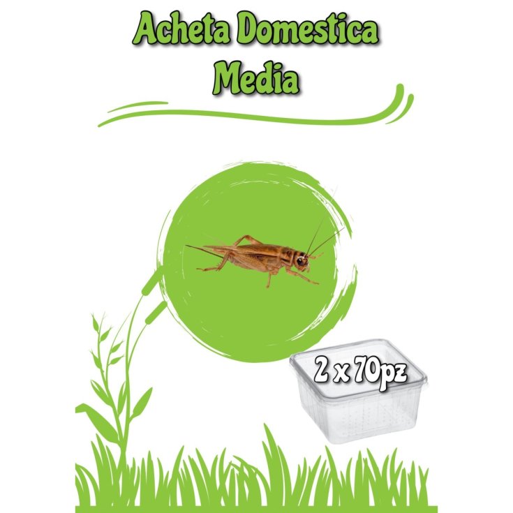 ACHETA MEDI 70PZ