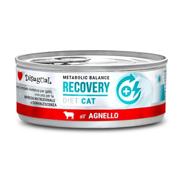 DISUGUAL CAT RECOVERY AGNELLO 85G
