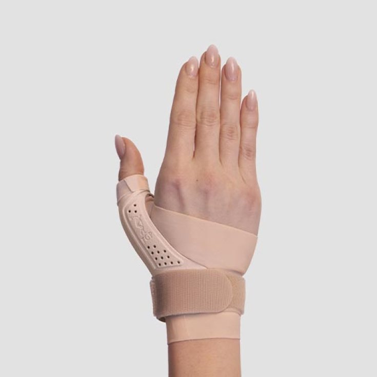 RHIDO POD TUT RIGIDO POLL SX S