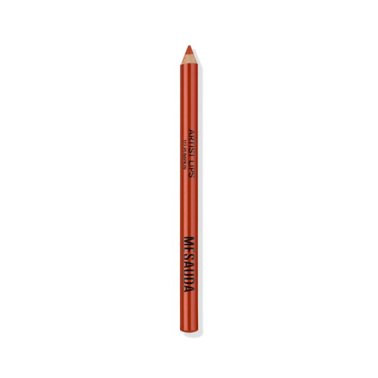 Artist Lips Pumpkin Mesauda 1,14g