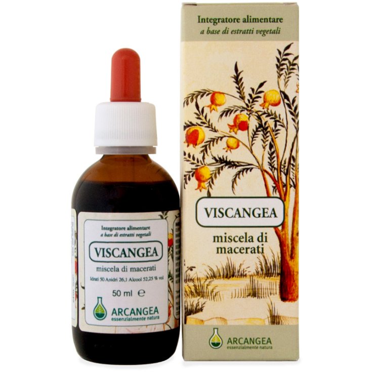 Viscangea Bio Soluzione Idroalcolica Arcangea 50ml