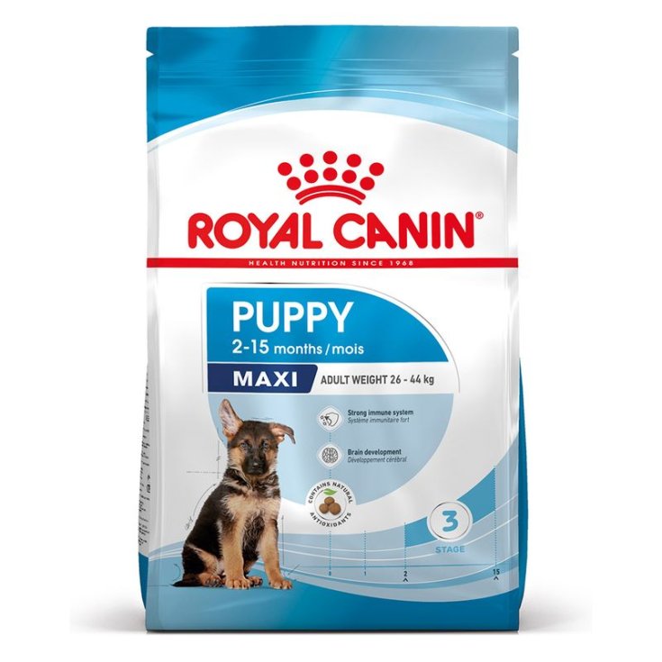 SHN MAXI CACHORRO 10KG