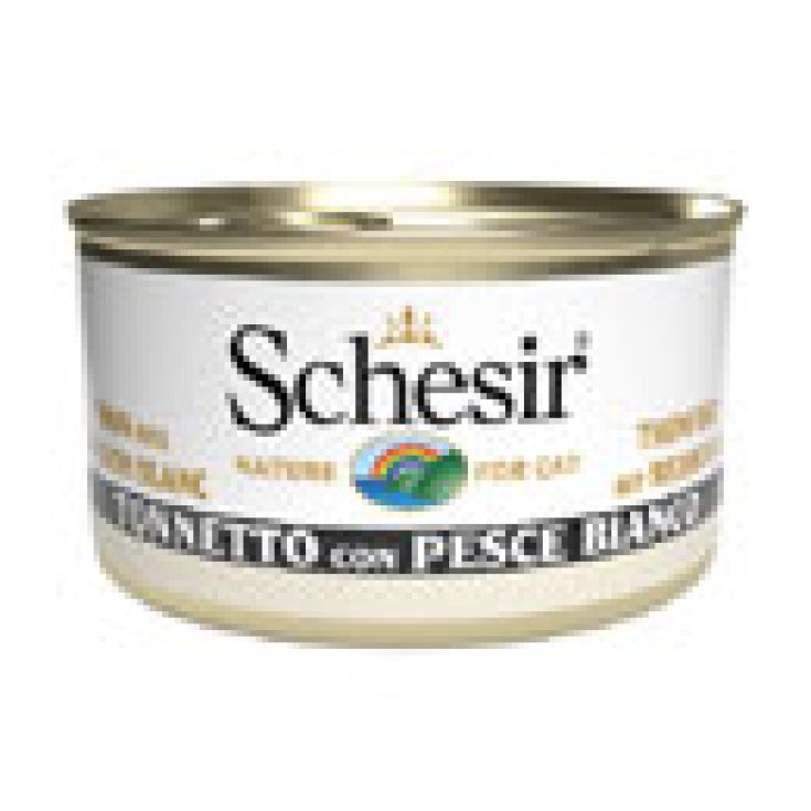 SCHESIR CAT TON AMBERJACK 85G