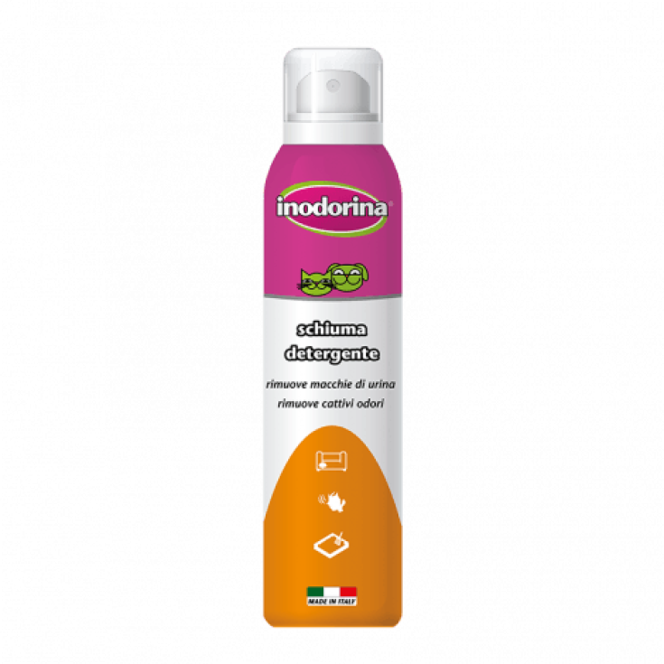 INODORINA ESPUMA LIMPIADORA 200 ML