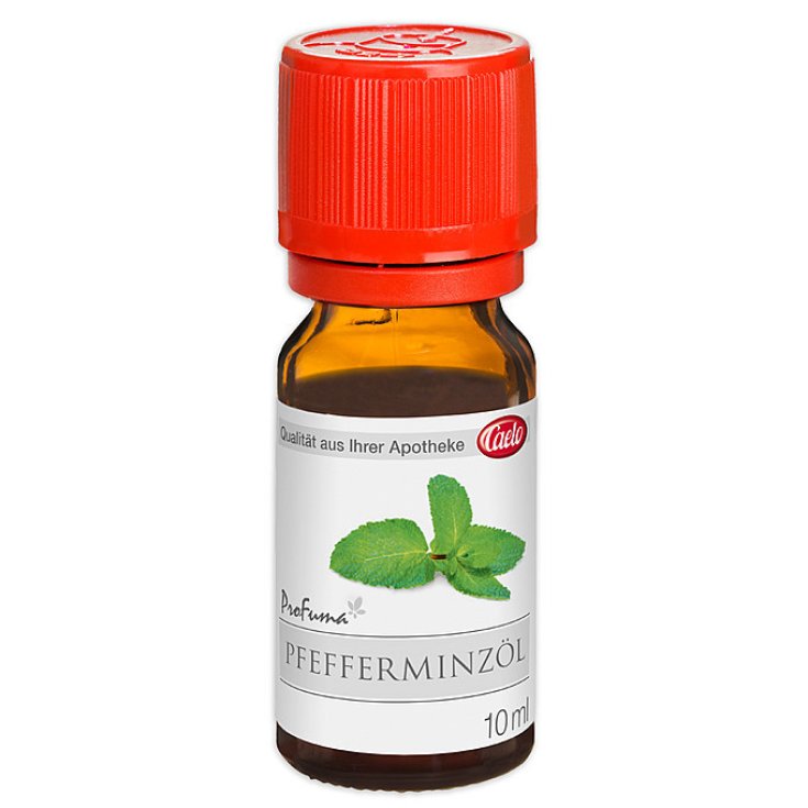 ESENCIA DE MENTA 25ML