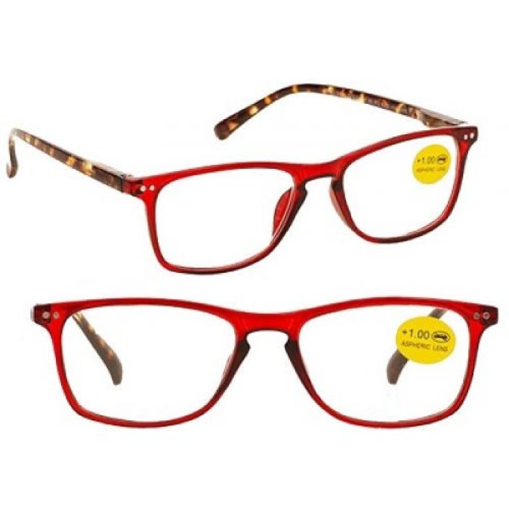 VER MÁS PREM PAOLO DIOTTR1,5