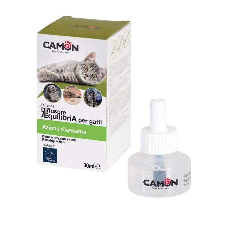 AEQUILIBRIAVET DIFF GATTO RIC