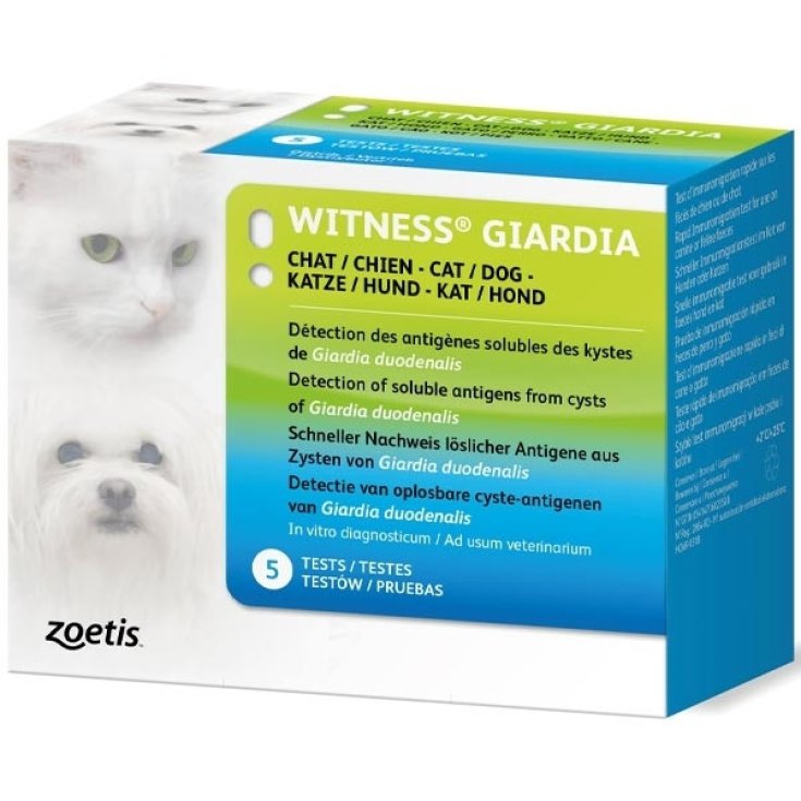 WITNESS GIARDA 5TEST