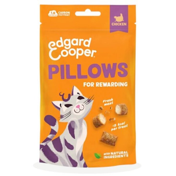 E&C CAT EXP AD PILLOWS CHIC60G