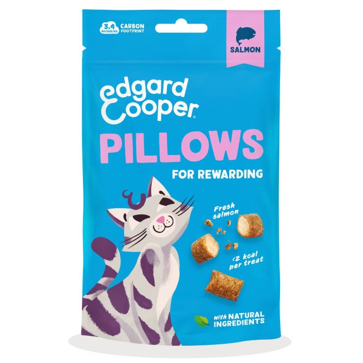 E&C CAT EXP AD PILLOWS SALM60G