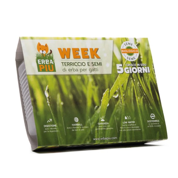 ERBA PIU' PRONTO FRESCO