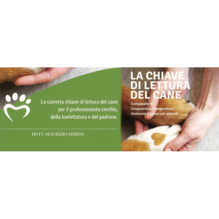 OVER LINE PROFUMO VANITY 100ML