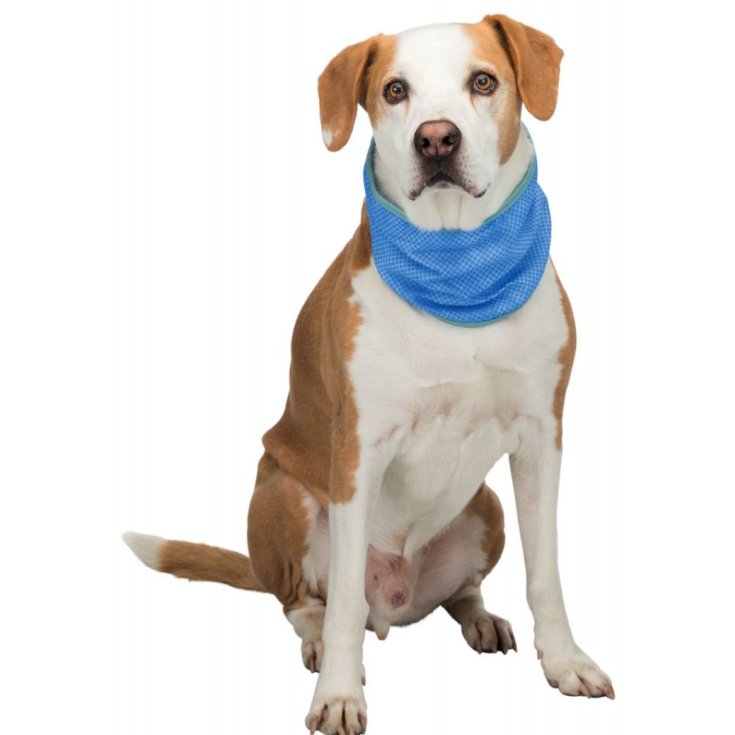 BANDANA RINFR PVA M 2840