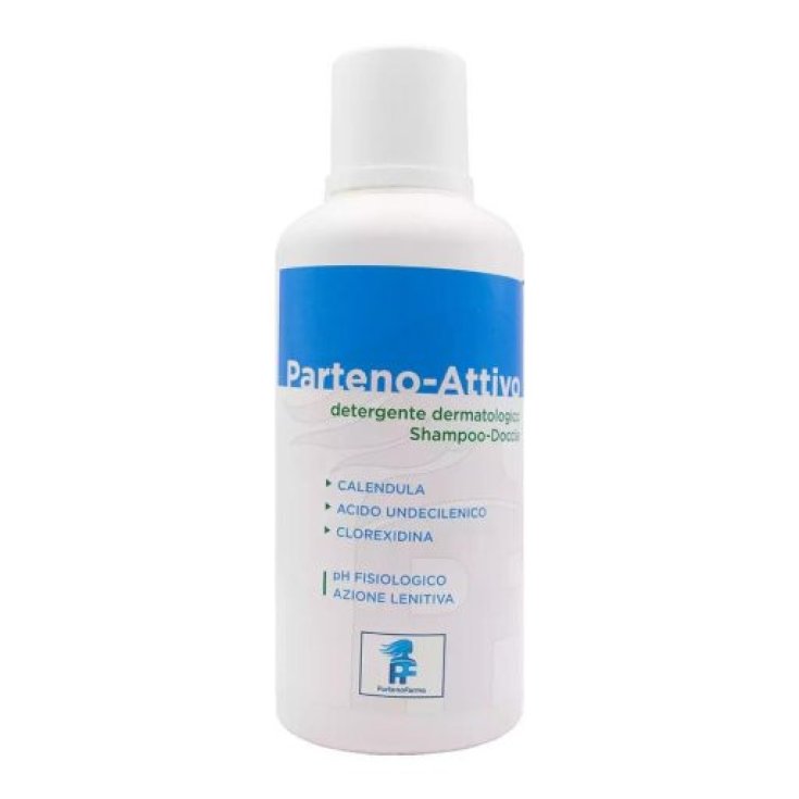 SALIDA ACTIVA 500ML