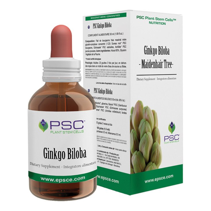 EXTRACTO SECO DE GINKGO 6% 100G