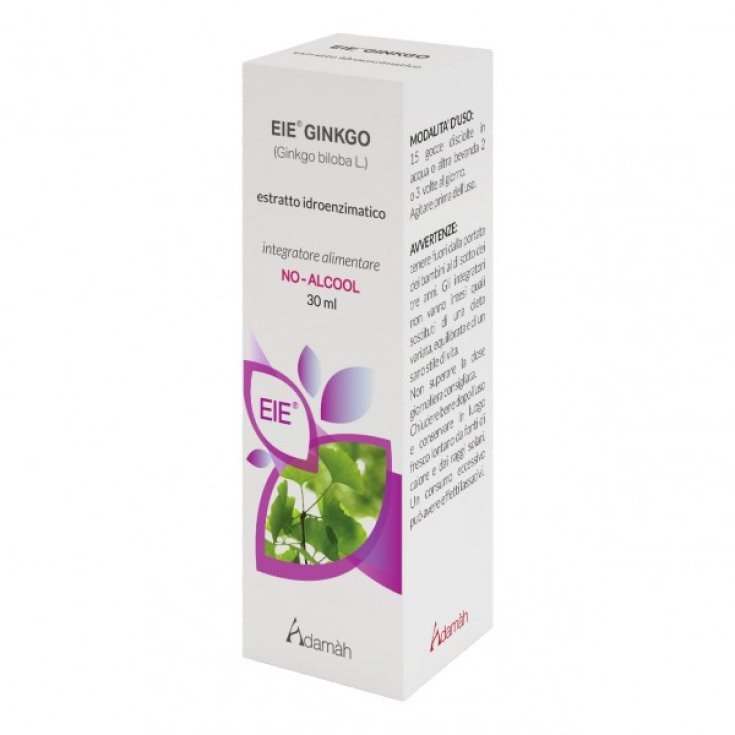 EXTRACTO SECO DE GINKGO 24% 100G