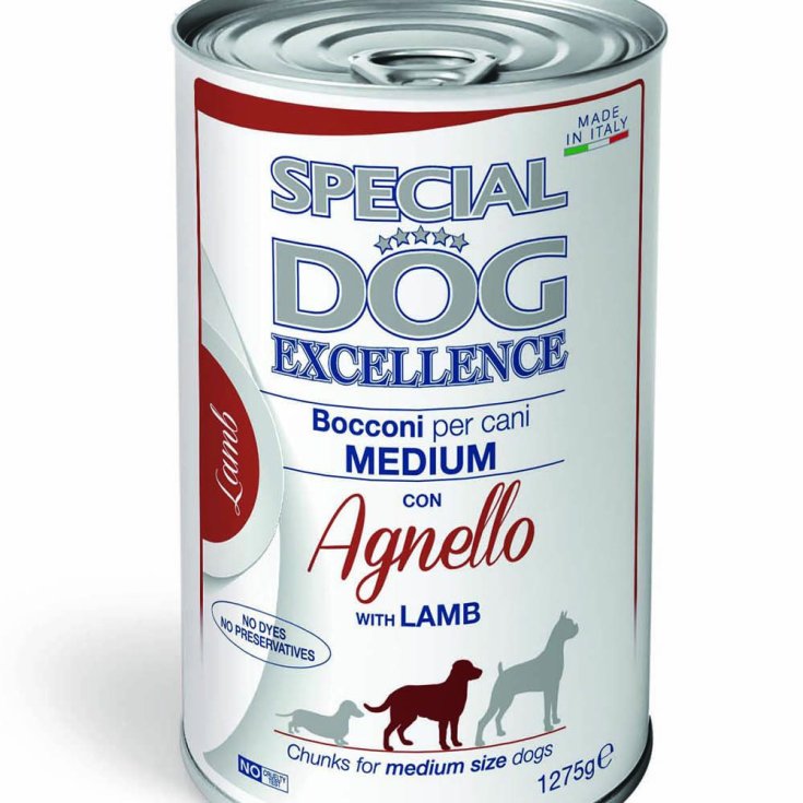 SPECIAL DOG EXC M AD BOCC AGN