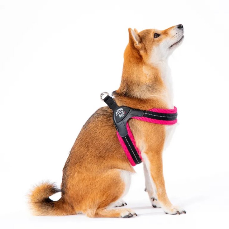 TP EF SAV ONYX CLK TIG 2,5