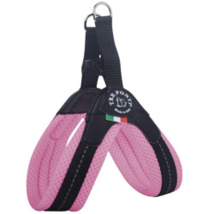 TP EF RE CLK RA PAST 1,5