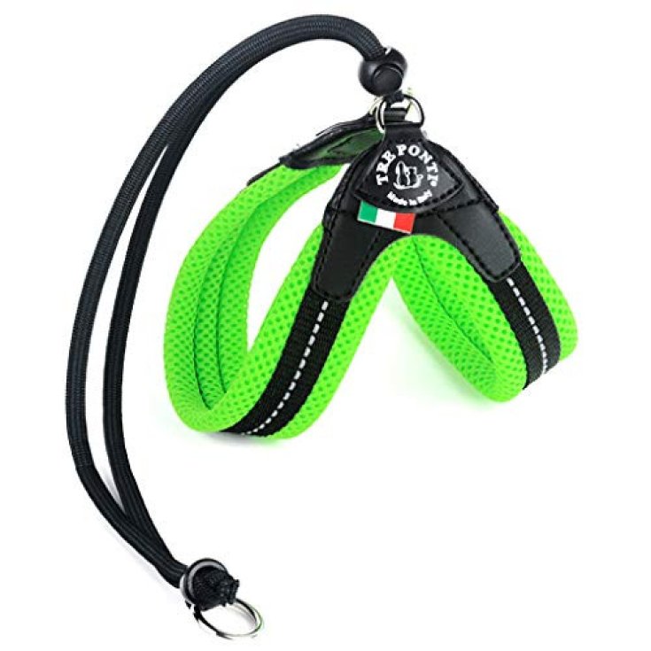 TP EF RE CLK VE CA 2