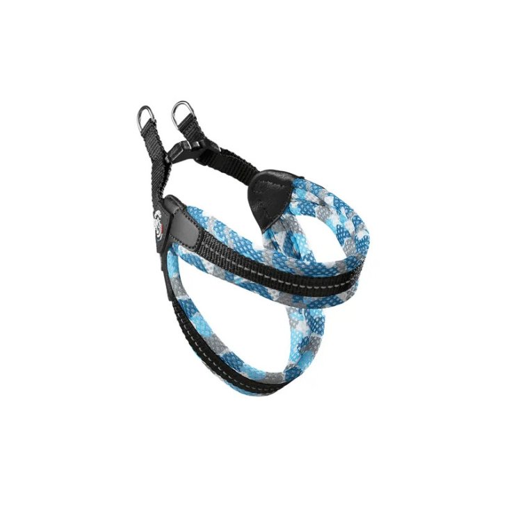 TP EF RE S/P REG AZZ CA 2,5