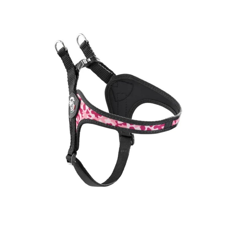 TP EF RE S/P REG RA CA 2