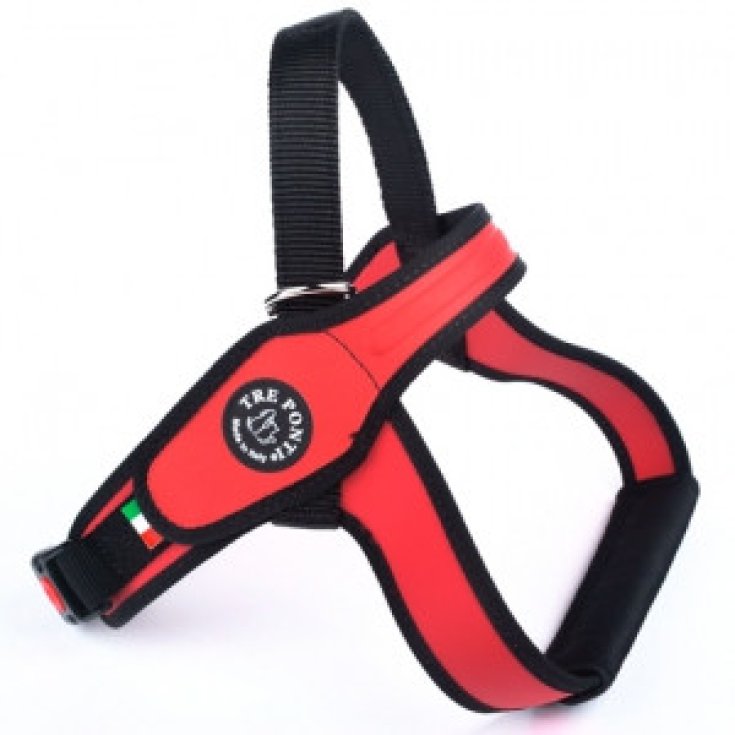 TP PRIMO SILVER RO L