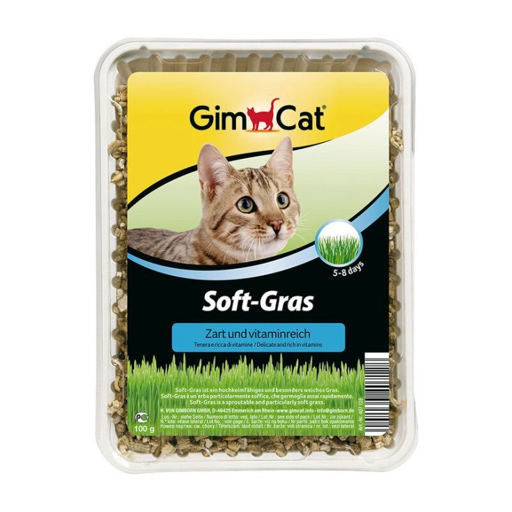 GIMCAT ERBA-GATTO EX SOFT 100G