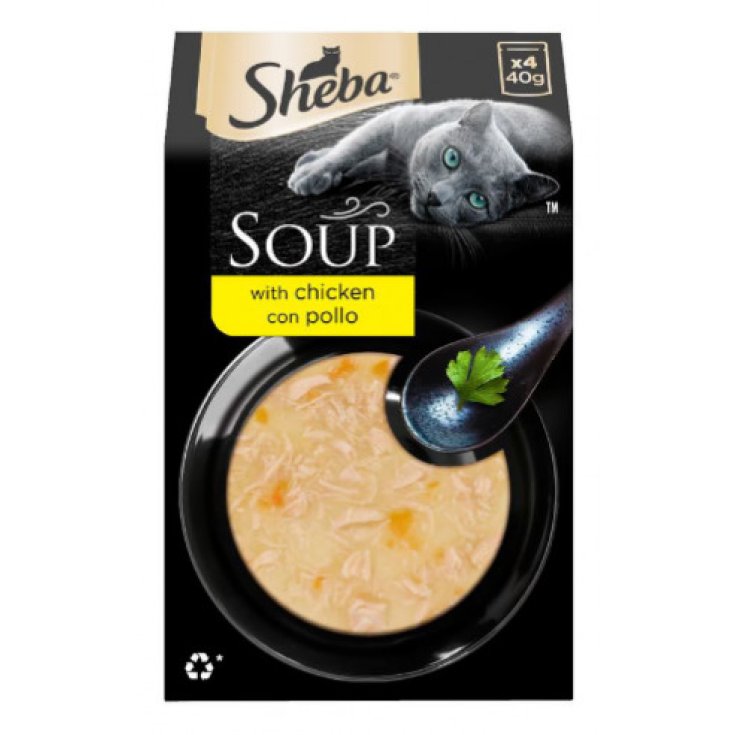 SHE SOUP POL 40G 4PZ
