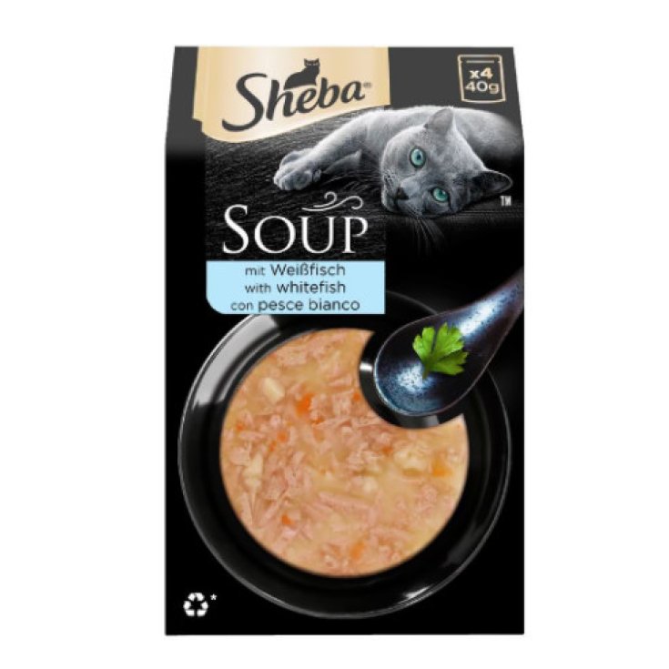 SHE SOUP PES BIANCO 40G 4PZ