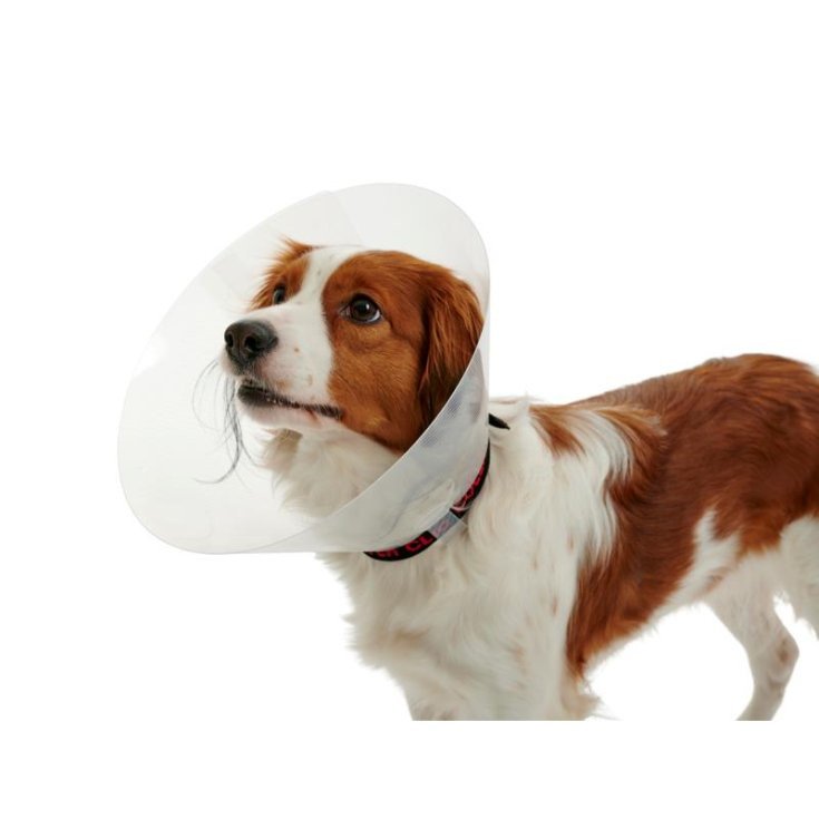 COLLARE ELISABETTA TRASP 40CM