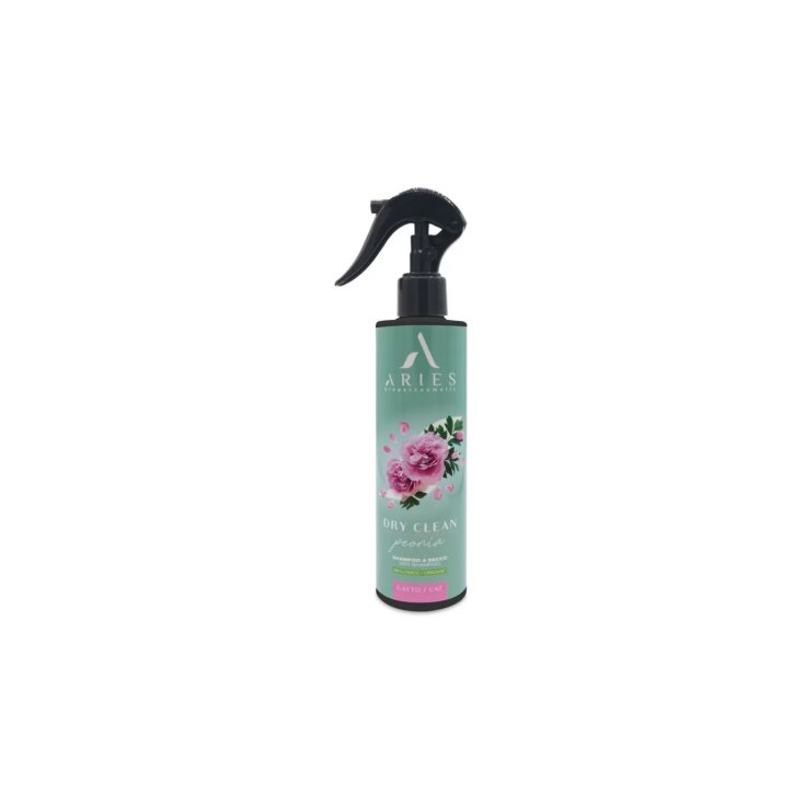 DRY CLEAN PEONIA 250ML