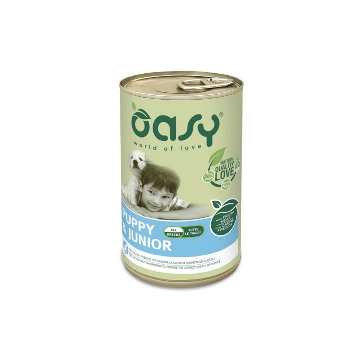 OASY WET DOG LIFES CACHORRO 400G