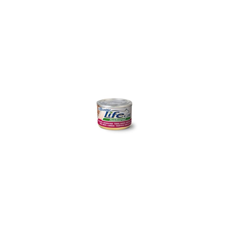 RECETAS LIFE CAT 150GR TON-MAN-PROS