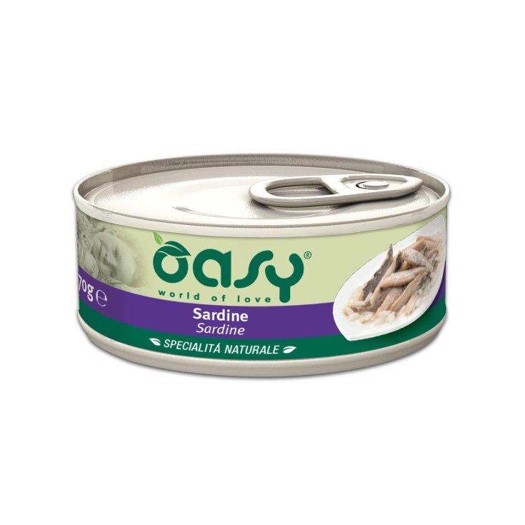 OASY SARDINA DE GATO HÚMEDA 70G LECHE