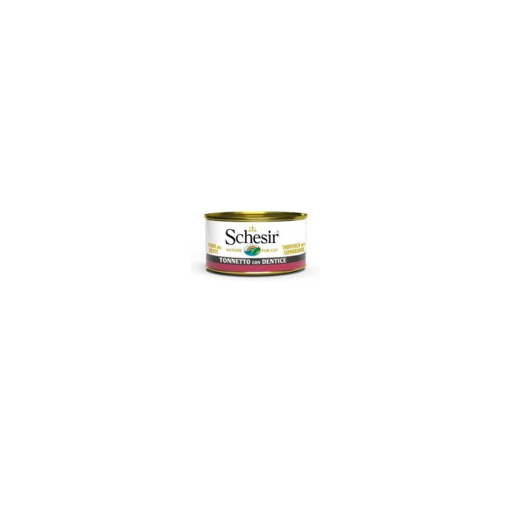 SCHESIR GATO TON DENTICE 85G