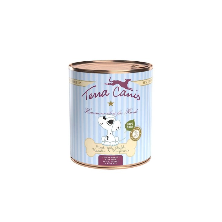 TERRA CANIS CACHORRO CARNE 800G